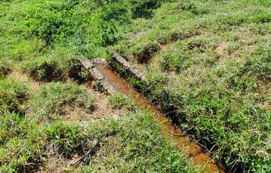 Imagem 5: Fazenda/Sítio/Chácara para venda possui 19 hectares Zona Rural - Caranaíba...