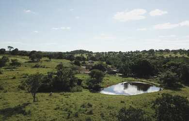 Imagem 10: Fazenda com 117 alqueires Região de Goiás Velho - GOIÁS