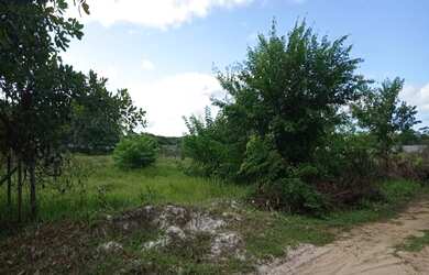 Imagem: O terreno possui 1.800m² de Área e está localizado em Itacimirim