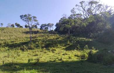 Imagem 13: Fazenda/Sítio/Chácara para venda possui 19 hectares Zona Rural - Caranaíba...