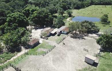 Imagem 3: Fazenda com 117 alqueires Região de Goiás Velho - GOIÁS