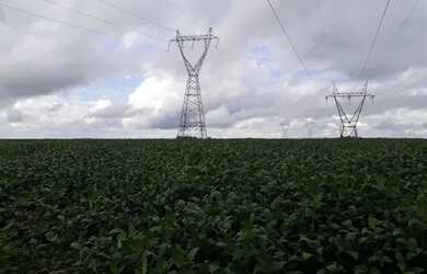 Imagem 5: Fazenda c/ 720he, sendo 500he em lavoura, Município de Rondonópolis-MT