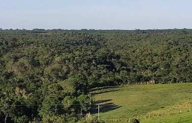 Imagem 6: . Uma Fazenda 110 alqueires 67 km de Porto Nacional