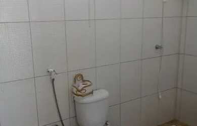 Imagem 11: Aluga-se Casa Linda e Aconchegante Em Barra de Jacuipe finais de semana...