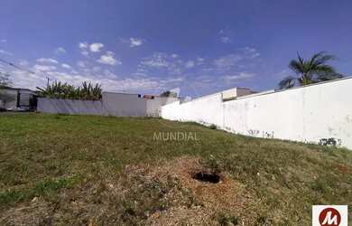 Imagem: O depósito possui 377m² de Área e está localizado em Ribeirão