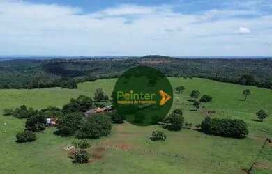 Imagem: A fazenda possui 67.600.000m² de Área e está localizado