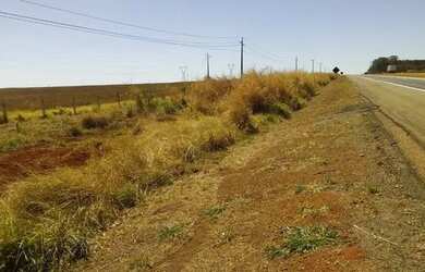 Imagem 10: Fazenda c/ 720he, sendo 500he em lavoura, Município de Rondonópolis-MT