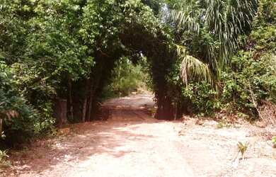 Imagem 2: .Uma excelente Fazenda 115 alqueires 48 km de Santa Maria To 3