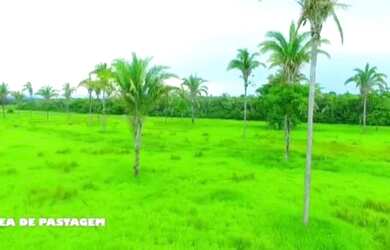 Imagem 4: Fazenda. 289m² de Área