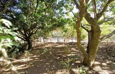 Imagem 4: Terreno 375m² no Chácara Recreio Floresta, por R$ 225.000,00 em Jaguariúna...