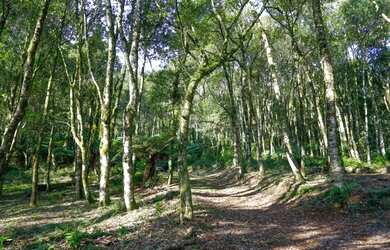 Imagem 5: Sitio - Bairro Santa Terezinha