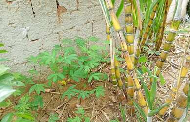 Imagem 9: Casa em Itaipuaçu. Varanda, 84m² de Área, 1 Vaga na garageme1 Dormitório