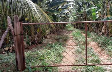 Imagem 3: Terreno a venda. 