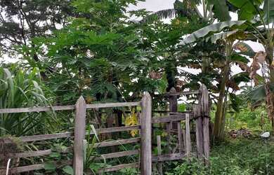 Imagem 6: Terreno a venda. 