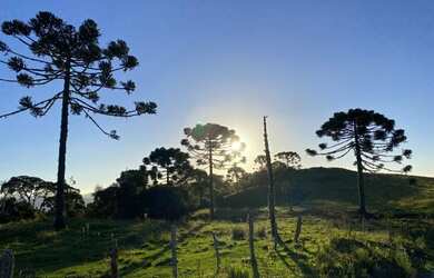 Imagem 6: Terreno de 6 hectare em Urubici
