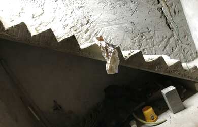 Imagem 4: TERRENO AREA LIVRE. 1 Banheiroe1 Dormitório