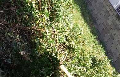 Imagem 1: Lote/Terreno para venda possui 600 metros quadrados em Freguesia Jacarepaguá...