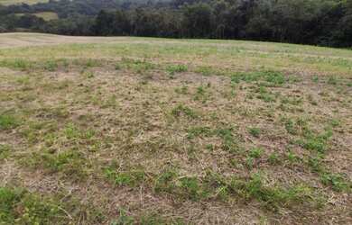 Imagem: A fazenda possui 100m² de Área e está localizado em Botiatuva