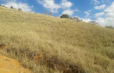 Imagem 16: Fazenda em Areal. 557m² de Área