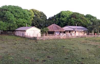 Imagem 7: Fazenda no Amajari