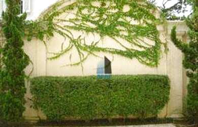 Imagem 11: Casa residencial para venda e locação, Jardim América, São Paulo