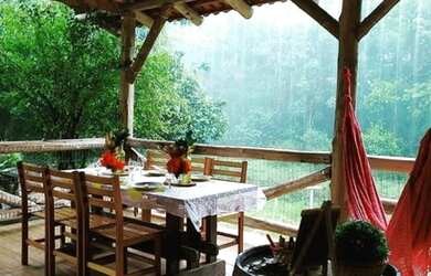 Imagem 3: Chácara Sítio. 30000m² de Área