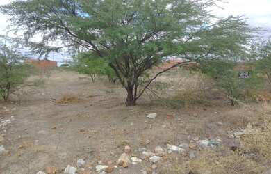 Imagem: O terreno possui 20m² de Área e está localizado em Centro