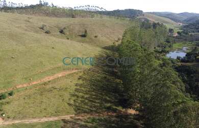 Imagem 5: EXTRAORDINÁRIA FAZENDA DE 422 HA COM ÓTIMA ESTRUTURA E EUCALIPTO POR...