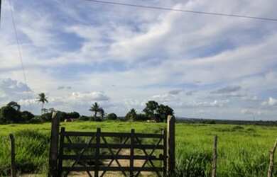 Imagem: A fazenda possui 100m² de Área e está localizado em Coração