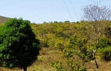 Imagem 7: VENDO FAZENDA DE 10 ALQUEIRES NO MUNICÍPIO DE GOIÁS VELHO