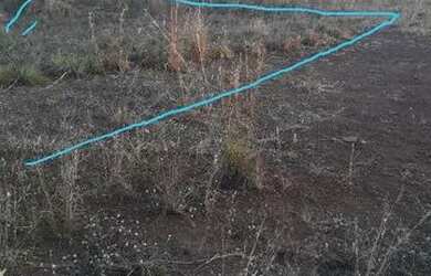 Imagem 5: Área comercial na BR 040