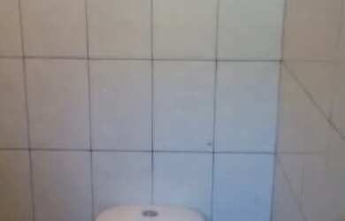 Imagem 6: Mata altantica II aluguel