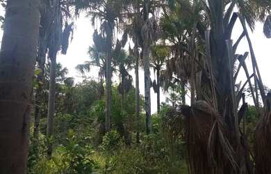 Imagem: A chácara possui 45.000m² de Área e está localizado em