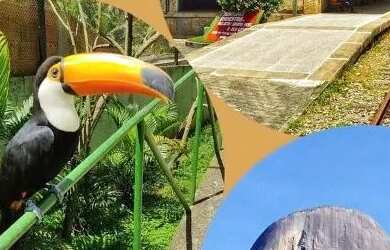 Imagem 16: Chácara terra arenosa nas montanhas capixabas venha se hospedar aqui