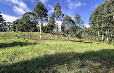 Imagem 13: Área de terra de 27,9 ha com vista panorâmica à venda em Nova Petrópolis na Serra Gaúcha