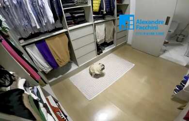 Imagem 8: Térrea para venda possui 297 metros quadrados com 3 quartos