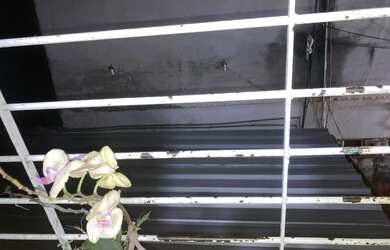 Imagem 6: Vendo. 1 Banheiroe3 Dormitórios