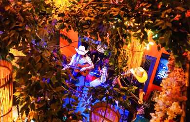 Imagem 11: Pub e Bar em Balneário Camboriú