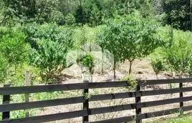 Imagem 12: Sitio de 22 hectares a poucos quilometros de Canela