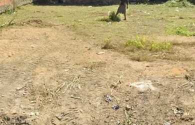 Imagem 4: Terreno disponível. 