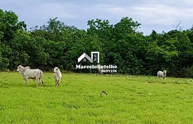Imagem 14: Fazenda á venda município de Livramento MT