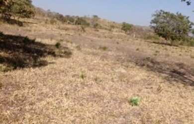 Imagem 3: VENDO FAZENDA DE 10 ALQUEIRES NO MUNICÍPIO DE GOIÁS VELHO