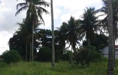 Imagem 1: TERRENO 22X50. 