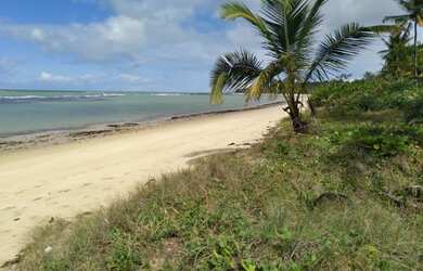 Imagem: O terreno possui 2700m² de Área e está localizado em Porto