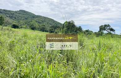 Imagem 2: Fazenda de Oportunidade ! 180 Alqueires ! Porangatu - GO !