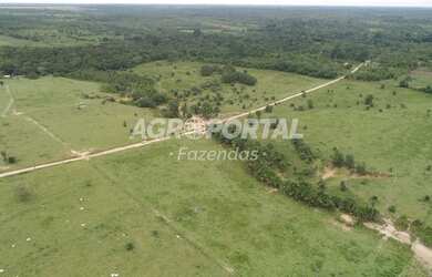 Imagem 15: Fazenda no Pará - São Miguel do Guamá - 260 ha 53 alq