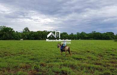 Imagem 16: Fazenda á venda município de Livramento MT