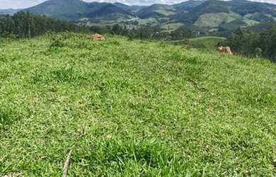 Imagem 13: Lote/Terreno para venda tem 10000 metros quadrados em Moinho I - Nazaré...