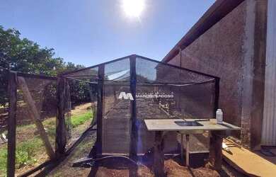 Imagem 9: Sítio com 2 dormitórios à venda, 447700 m² por R$ 4.070.000,00 - Zona...