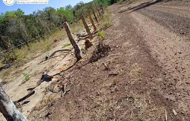 Imagem 9: FAZENDA À VENDA EM GOIATINS - TO - 329,12 HECTARES PECUÁRIA